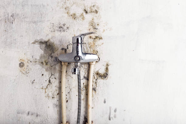 Best Mold Testing  in Cooper, TX