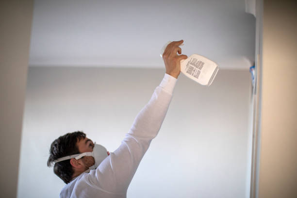 Best Emergency Mold Removal  in Cooper, TX