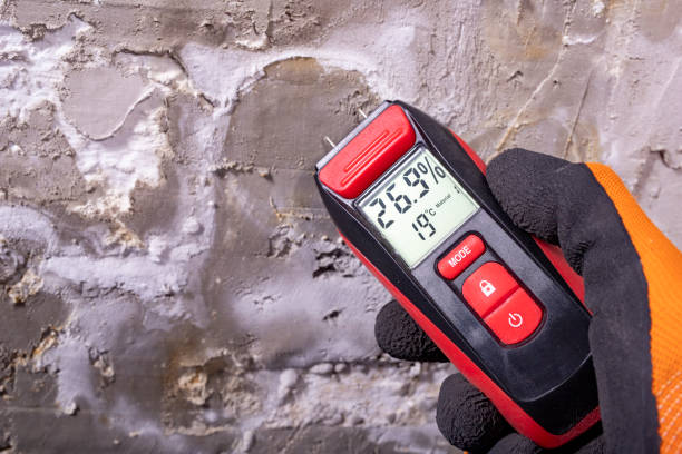 Best Certified Mold Removal  in Cooper, TX