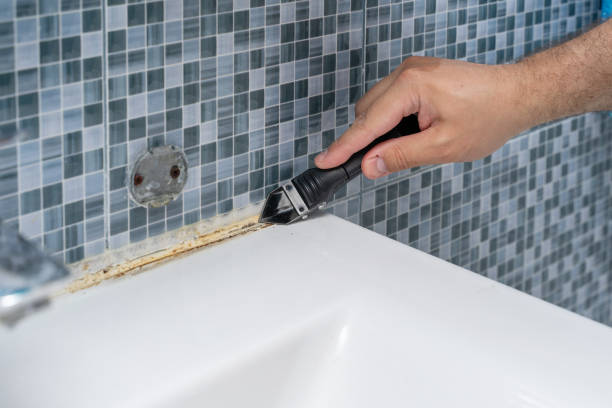 Best Mold Removal Process  in Cooper, TX