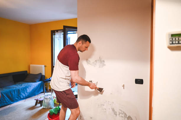 Mold Removal Process in Cooper, TX